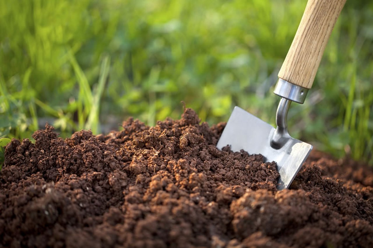 A shovel stuck in the ground