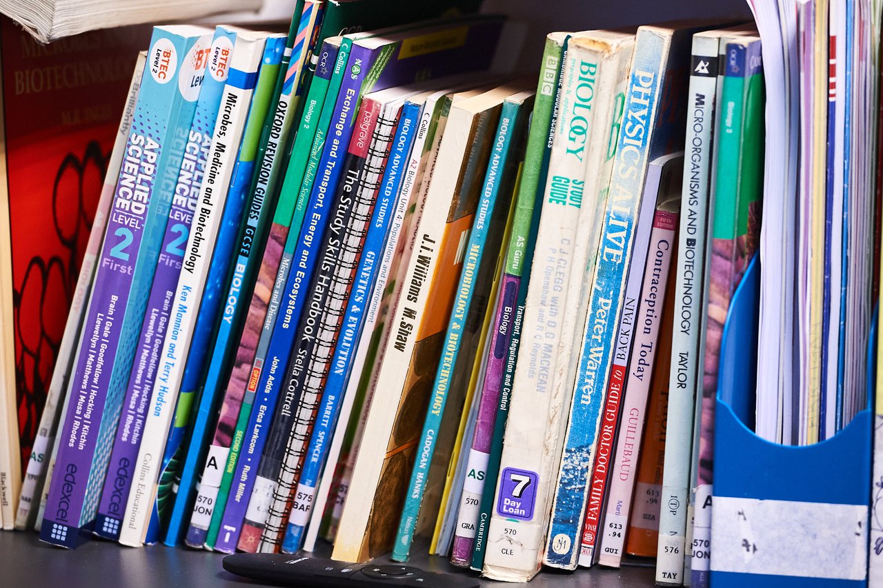 A row of books on a shelf