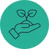 Line icon of a hand holding a small plant at the centre of a green circle, representing sustainable values at Novus.