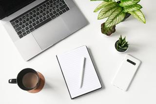 Laptop, pad and pen, mug and potted plants on a white table