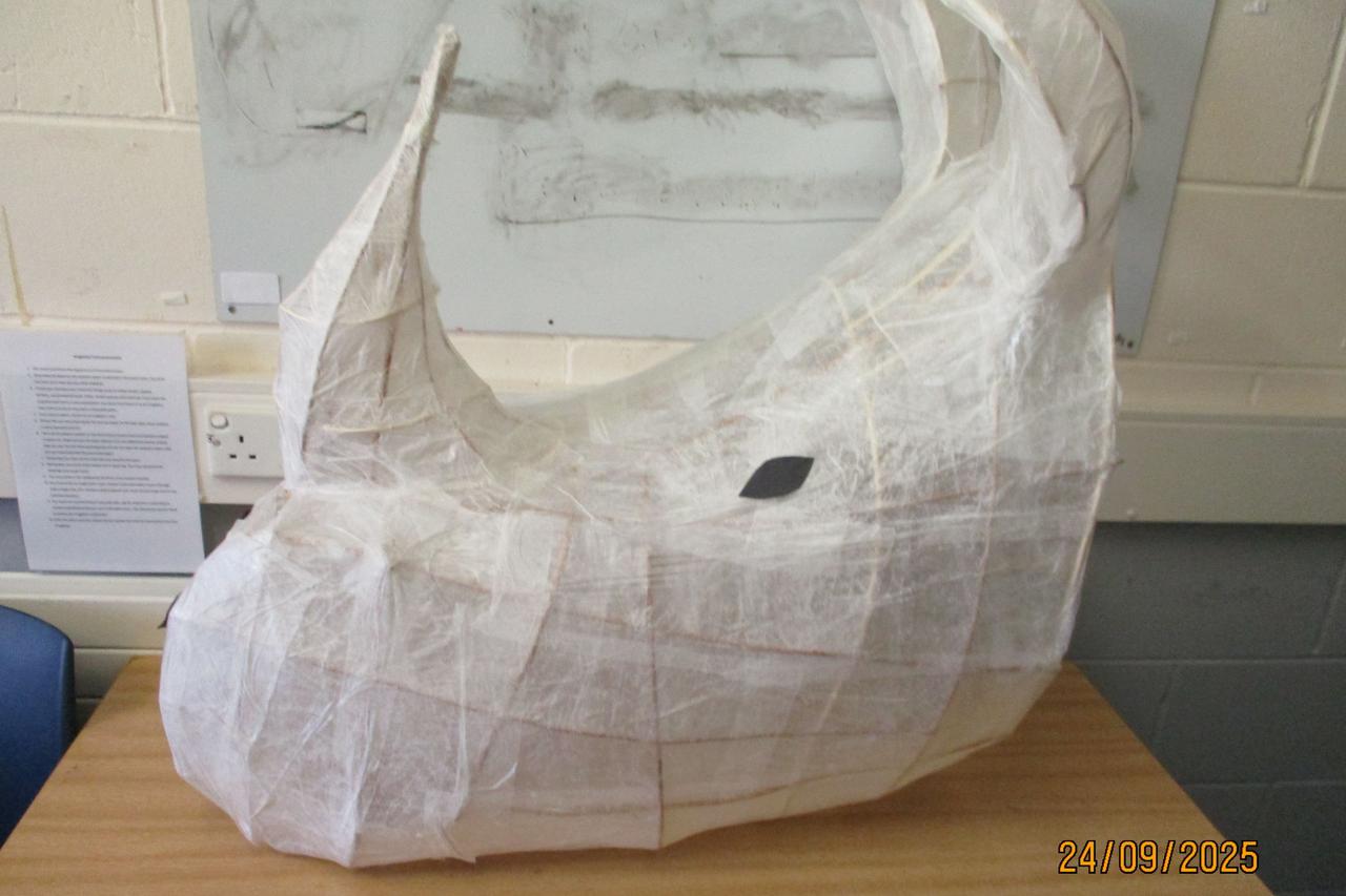 Rhino head maths project by Novus learners