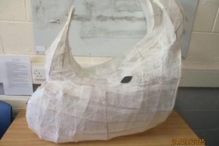 Rhino head maths project by Novus learners