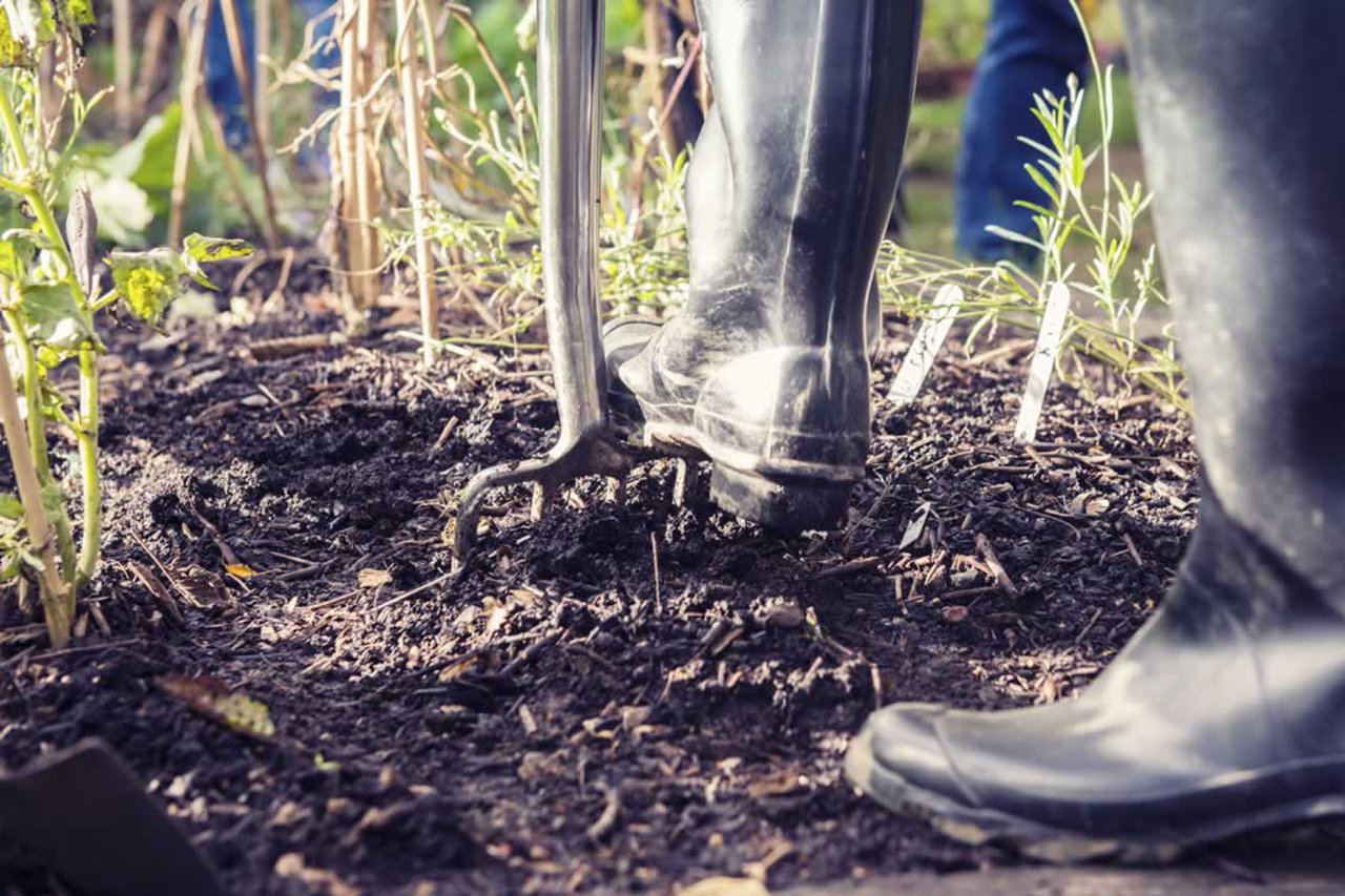 People gardening