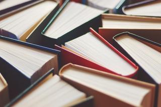 Different coloured books stood up