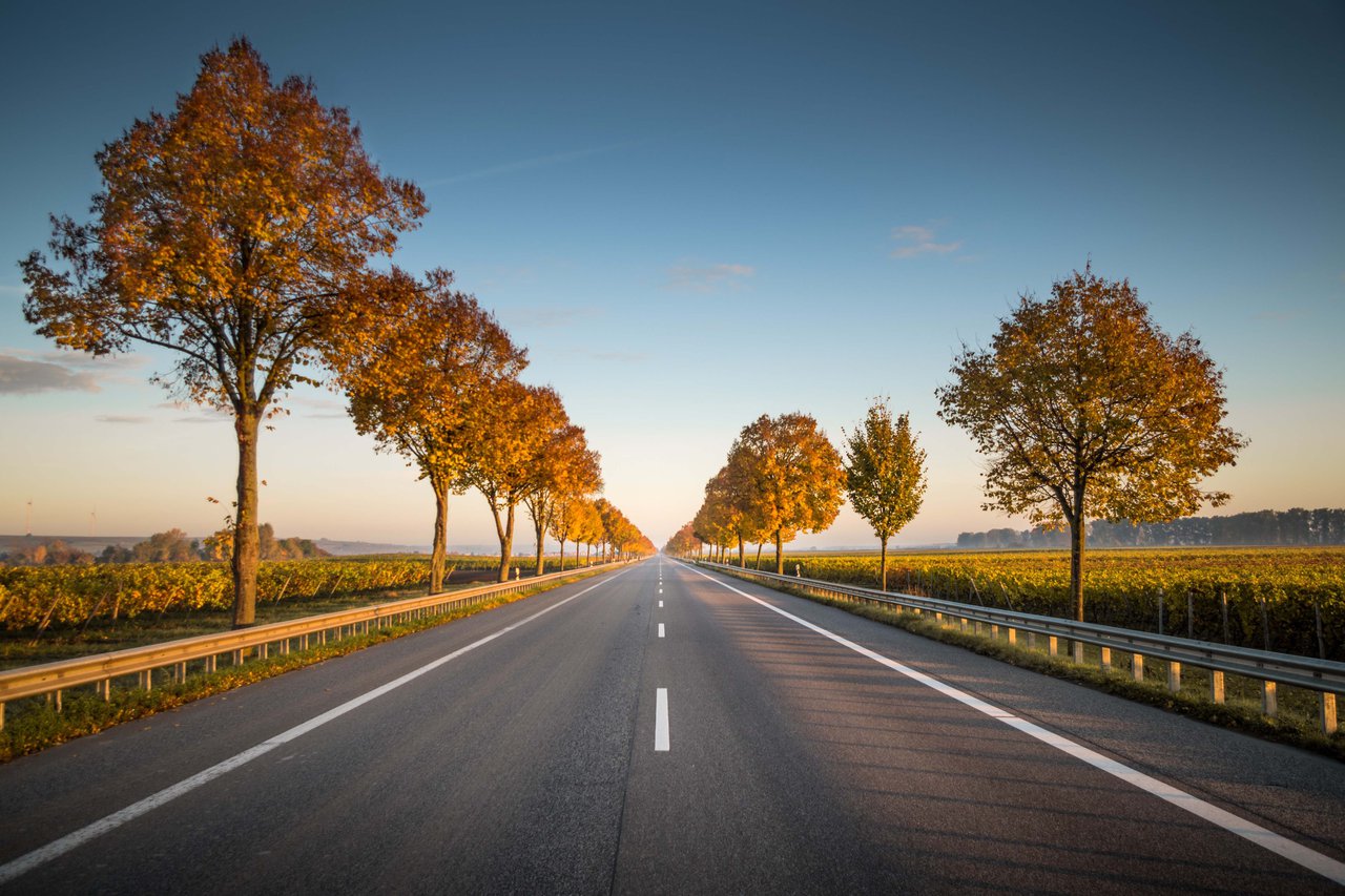 Road stretching into the horizon