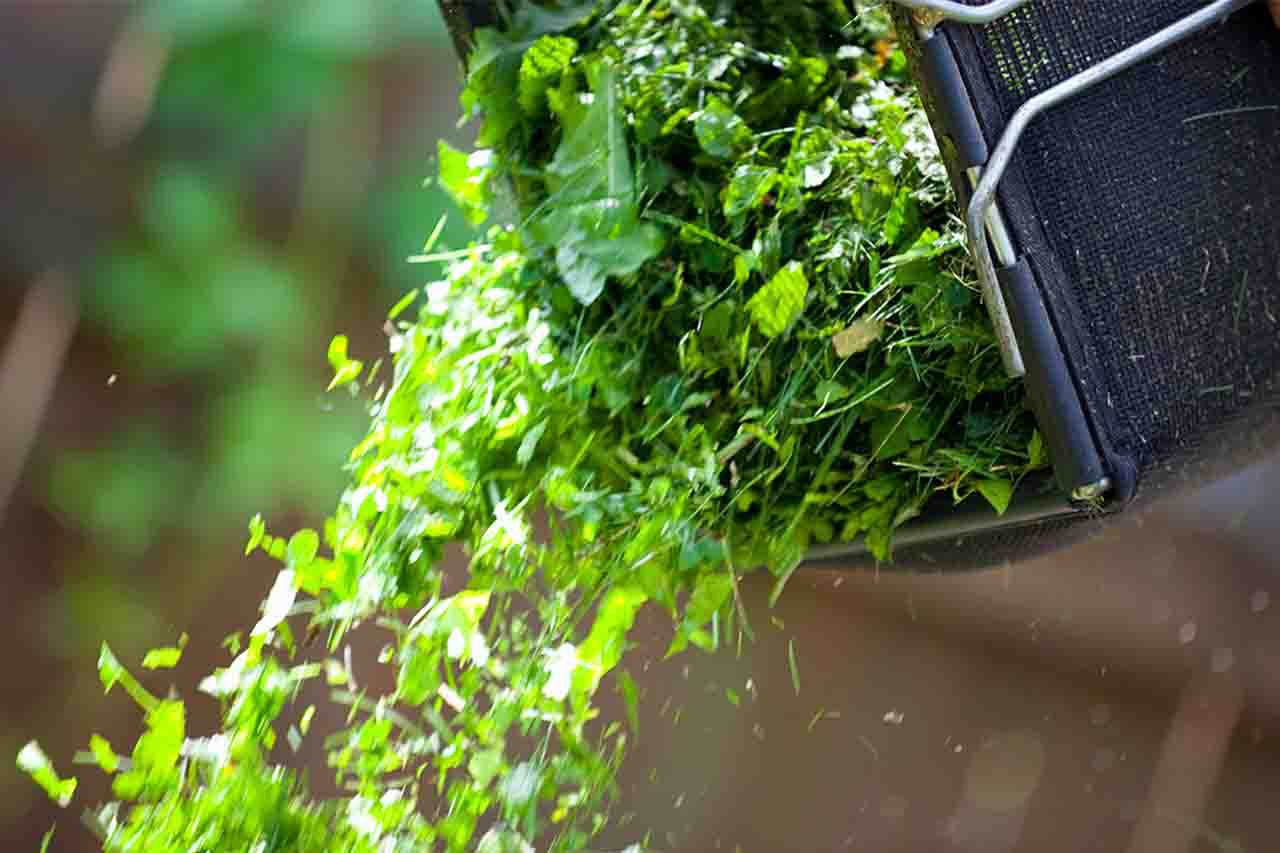 Grass cuttings being tipped out of a tub