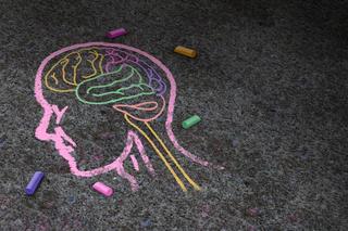 Chalk drawing of a person, with their brain drawn in different colours